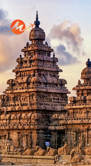 Tamil Nadu Temples Tour