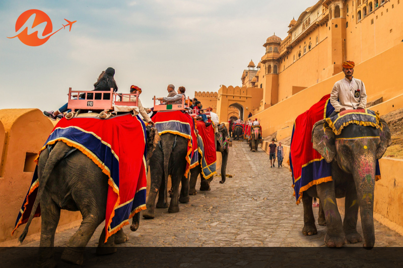 Elephant Ride