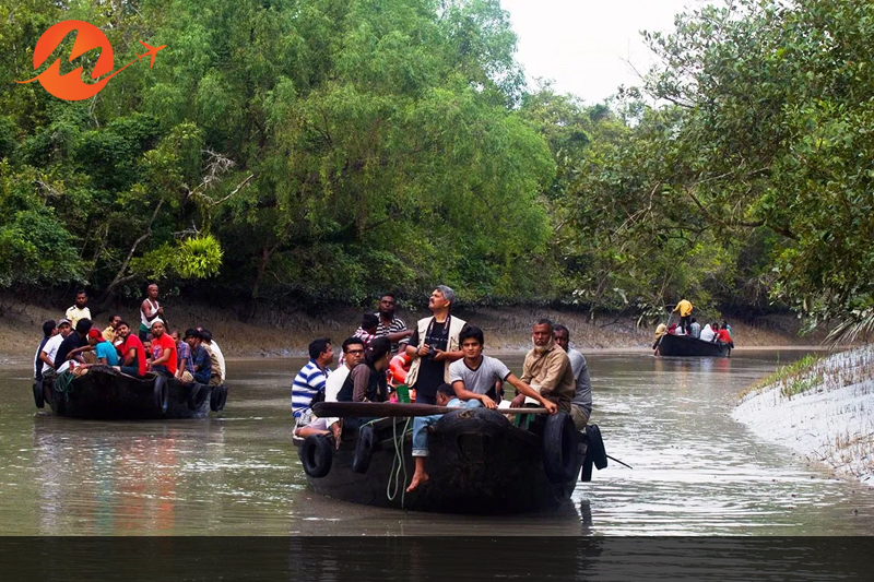 Sundarban