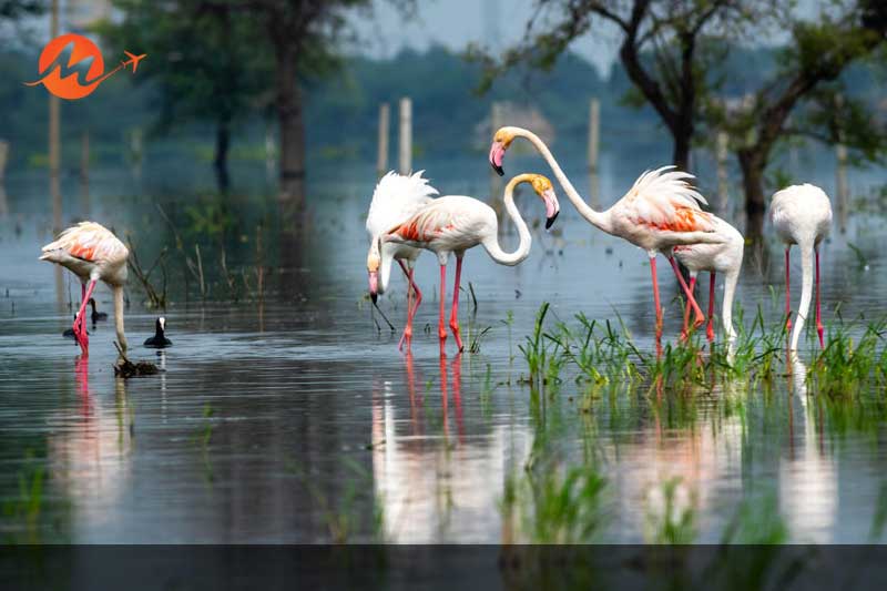 Bharatpur