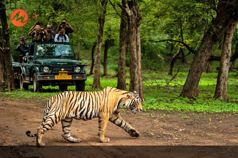 Sawai Madhopur