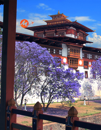 Bhutan Tour Ex Bagdogra