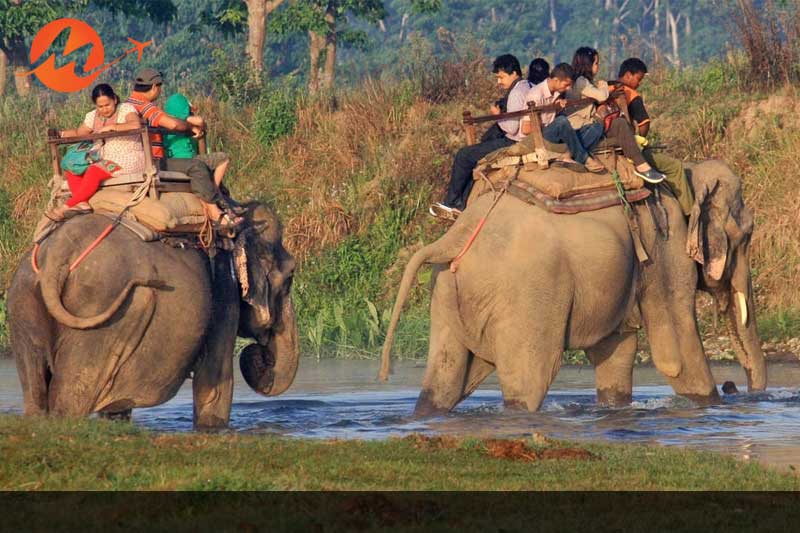 Chitwan National Park