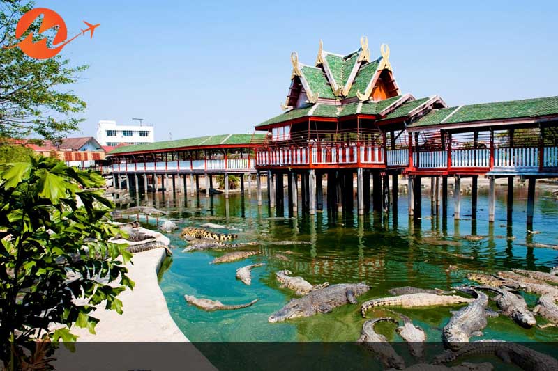 Crocodile Farm