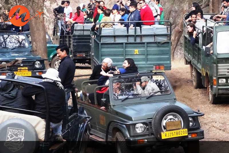 Ranthambore National Park