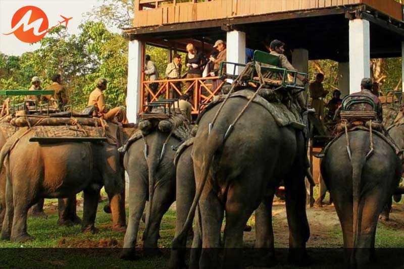 Kaziranga National Park