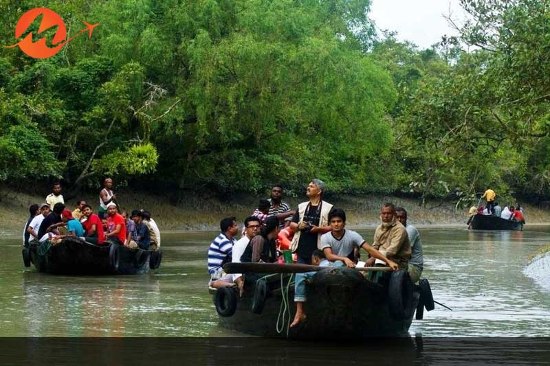 Sundarban