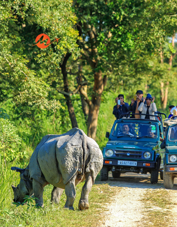 Beauty of Eastern India