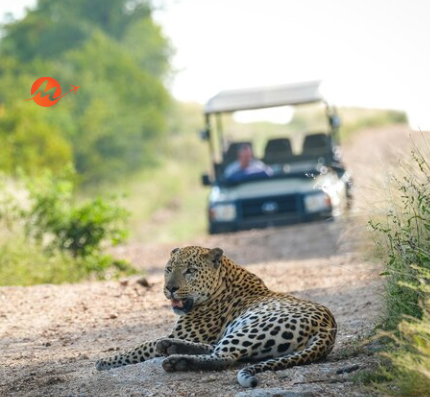 Ranthambhore Weekend Getaway Tour