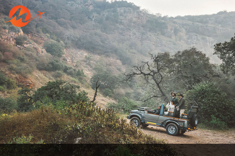 Ranthambore